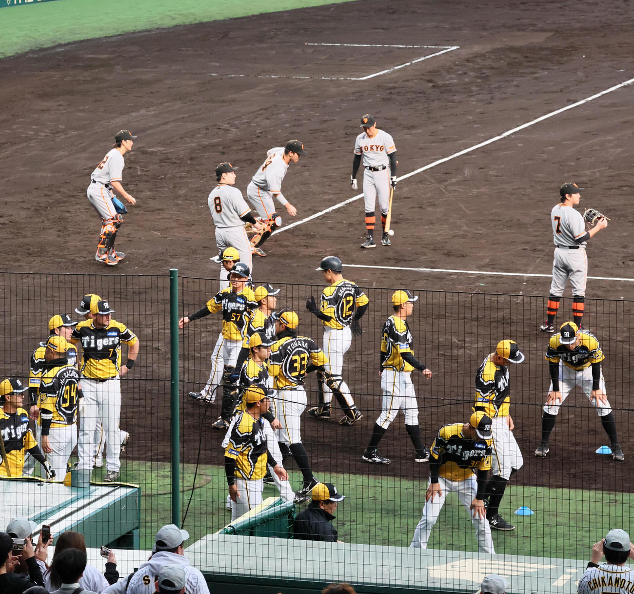 阪神対巨人　「ウル虎の夏2023」ユニホームで練習する阪神ナイン（撮影・加藤哉）