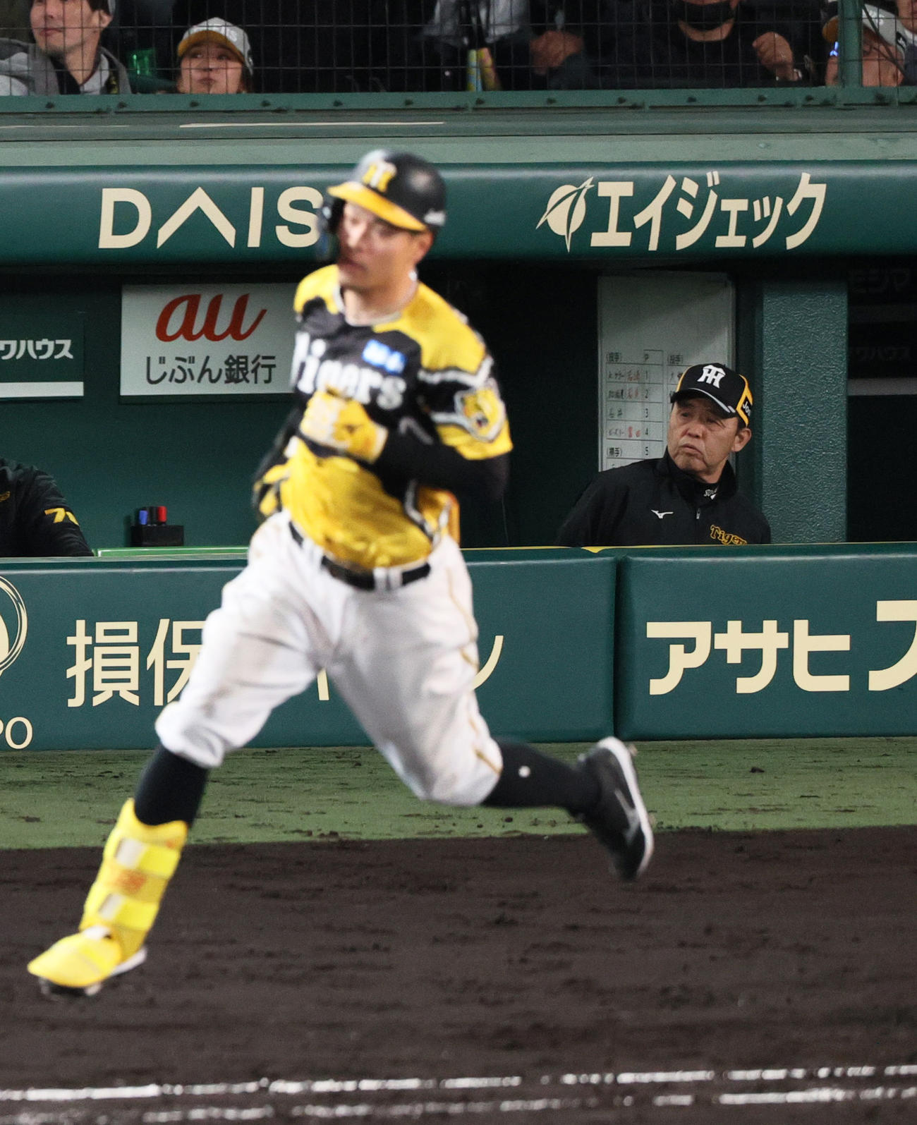 阪神対巨人　5回裏阪神無死、右越え本塁打を放った佐藤輝（手前）の打球を確認する岡田監督（撮影・上山淳一）