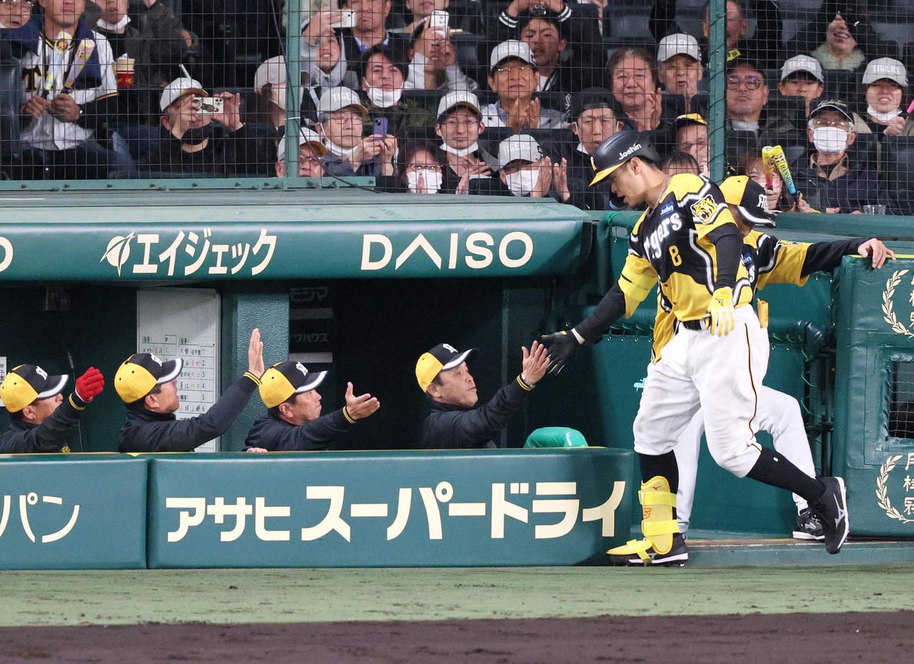 阪神対巨人　5回裏阪神無死、佐藤輝明手前）は右越え本塁打を放ち、岡田監督らから出迎えられる（撮影・上山淳一）