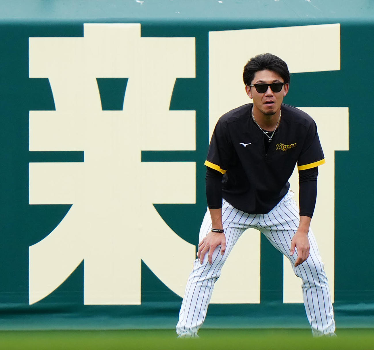 26日、阪神対巨人　試合前練習に臨む阪神伊藤将（撮影・江口和貴）