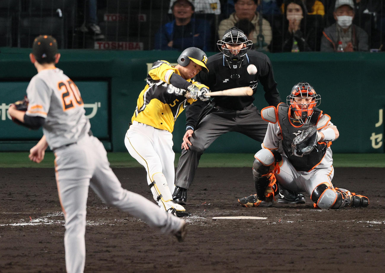 5回裏阪神無死二、三塁、近本は中前適時打を放つ（撮影・上山淳一）