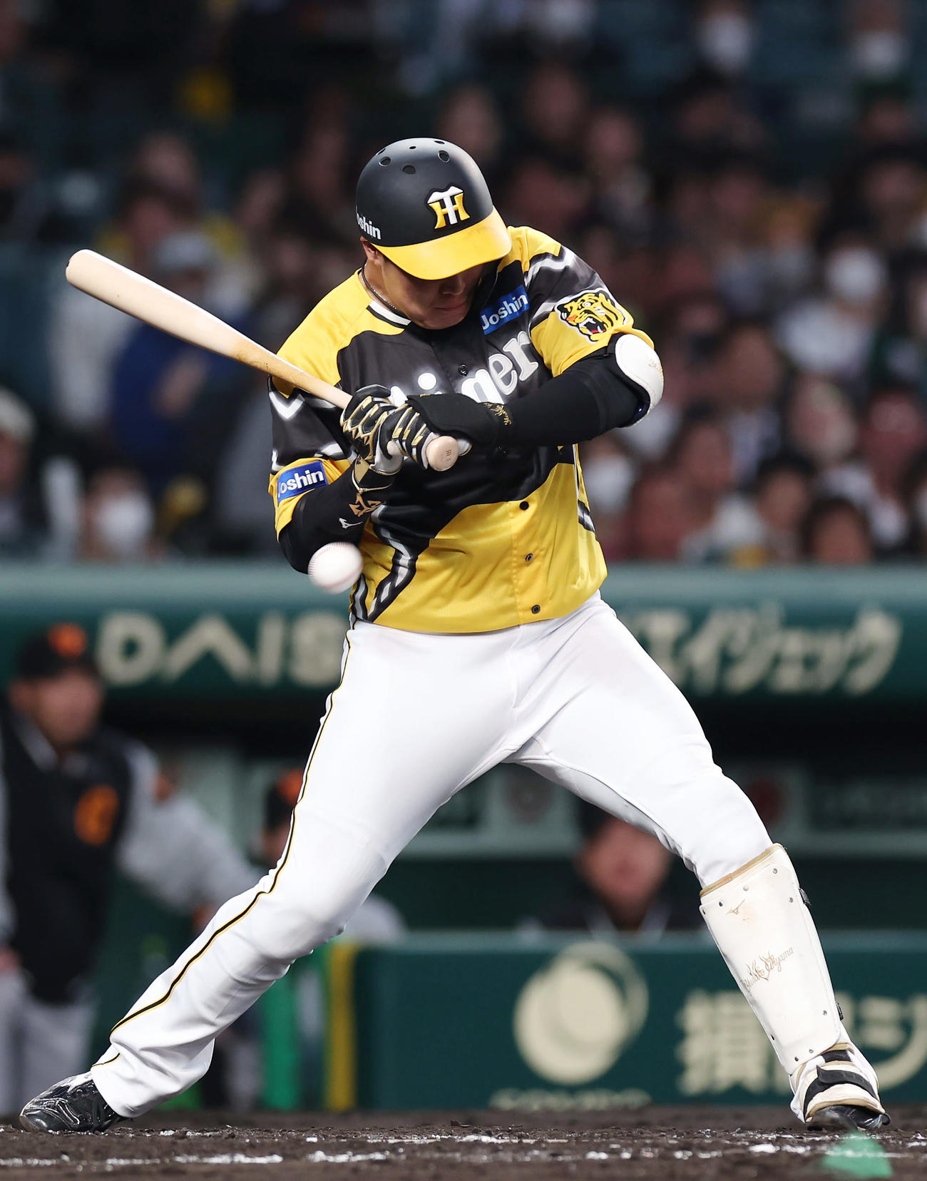 阪神対巨人　3回裏阪神無死一、二塁、死球を受ける大山（撮影・前田充）