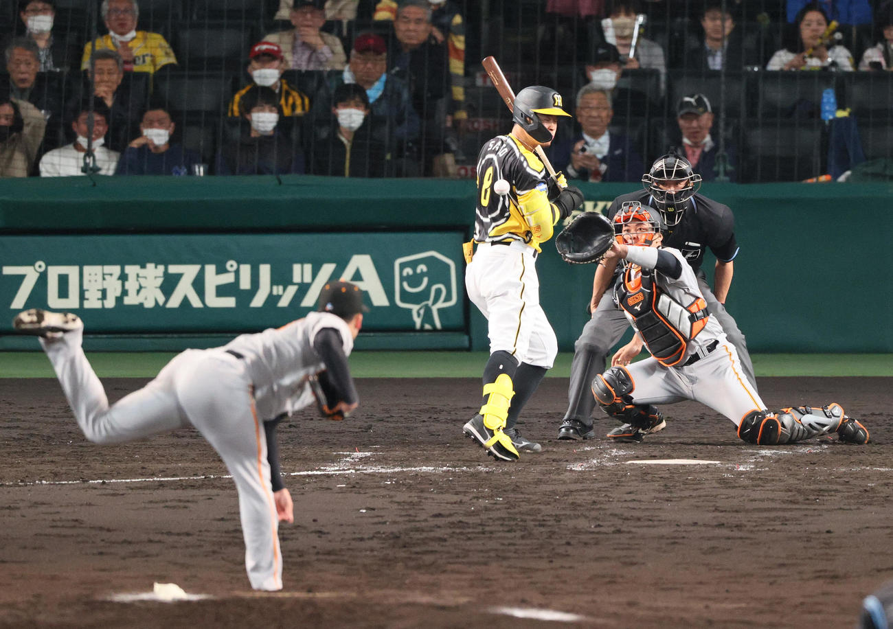阪神対巨人　4回裏阪神1死一塁、佐藤輝は死球をうける（撮影・上山淳一）