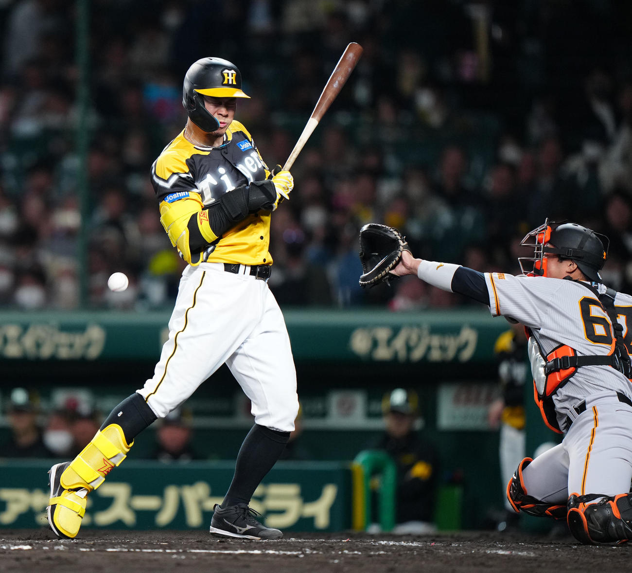 阪神対巨人　4回裏阪神1死一塁、死球を受ける佐藤輝（撮影・江口和貴）