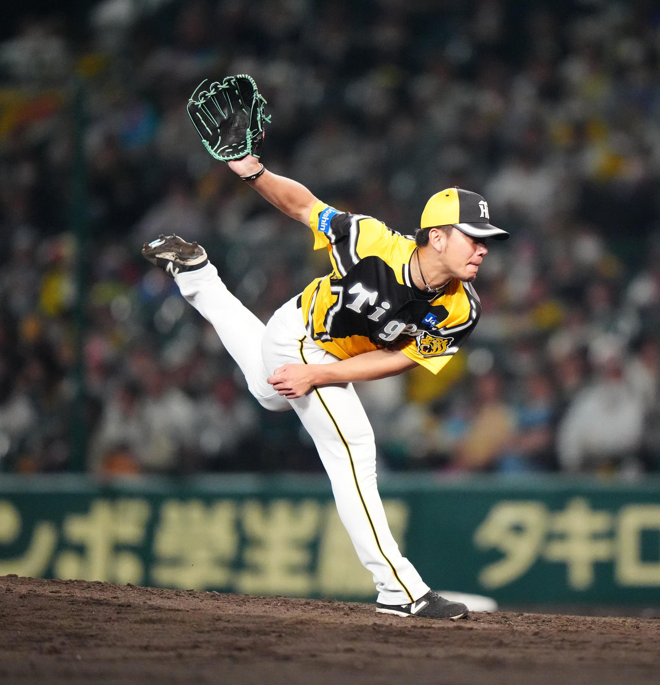 阪神対巨人　8回表、力投する阪神先発の伊藤将（撮影・江口和貴）