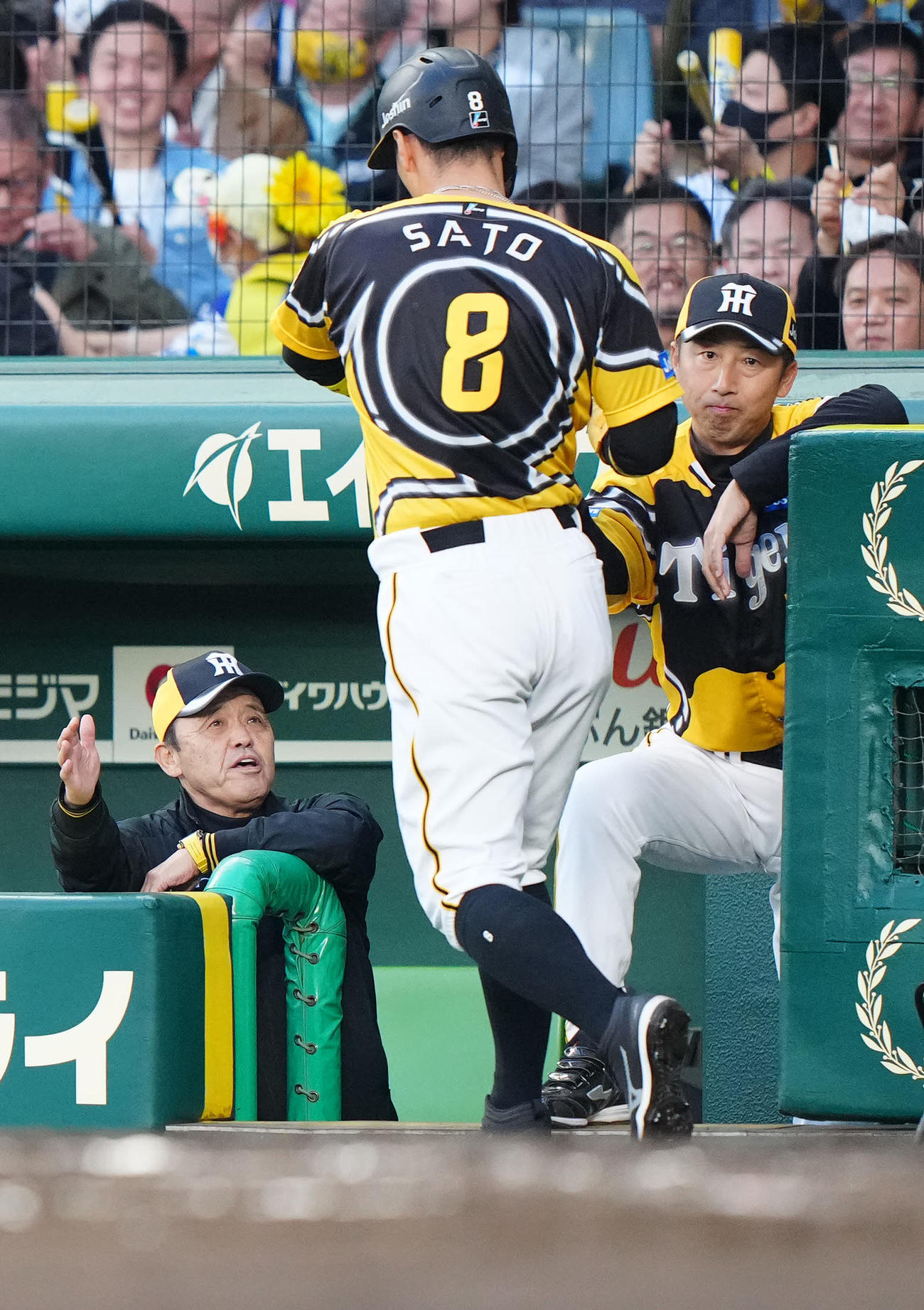阪神対巨人　2回裏阪神1死二、三塁、坂本の先制適時打で生還した佐藤輝（中央）を迎える岡田監督（左）（撮影・江口和貴）