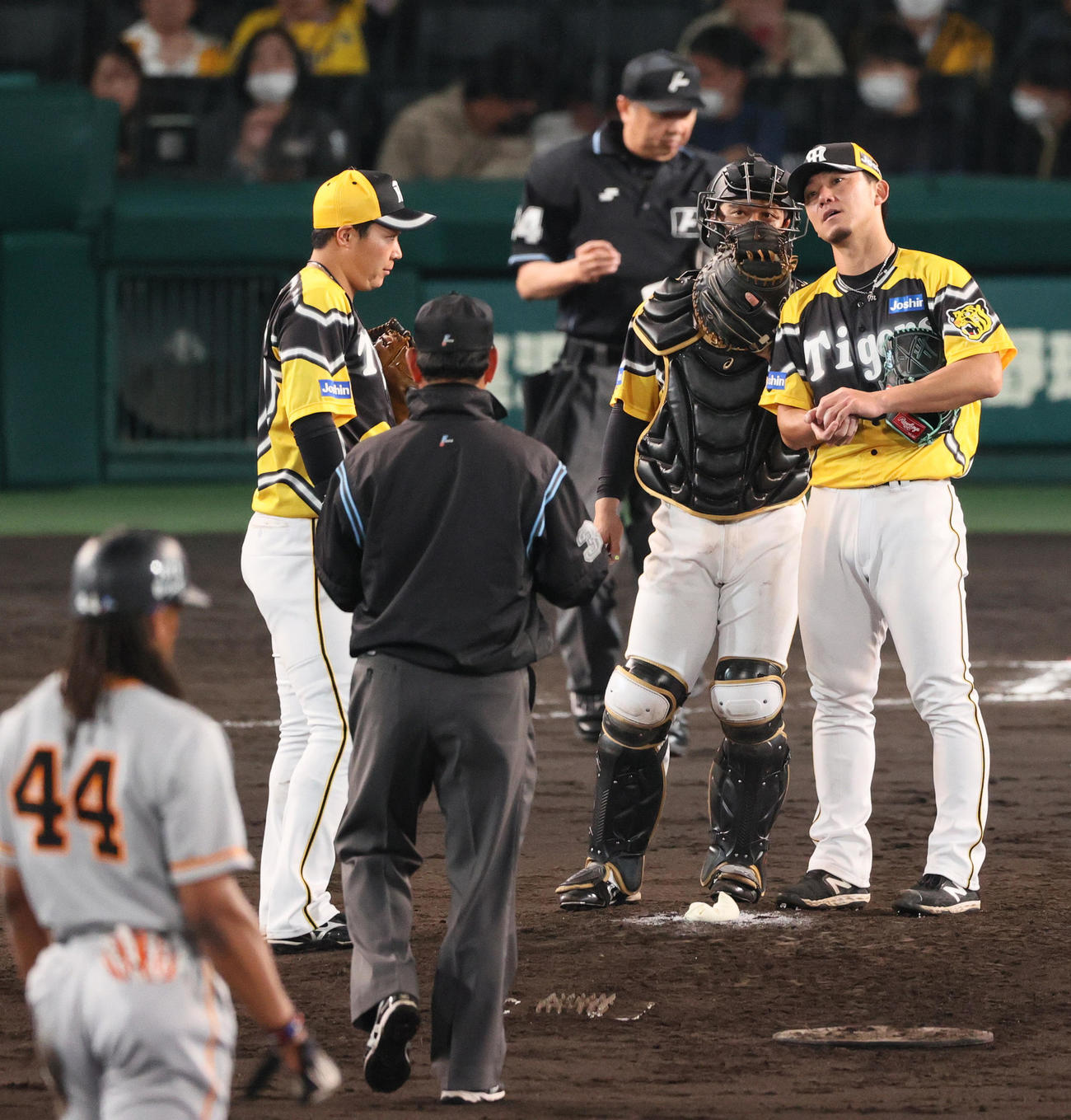 阪神対巨人　8回表巨人2死二塁、伊藤将司（右）と話す捕手坂本誠志郎（撮影・上山淳一）