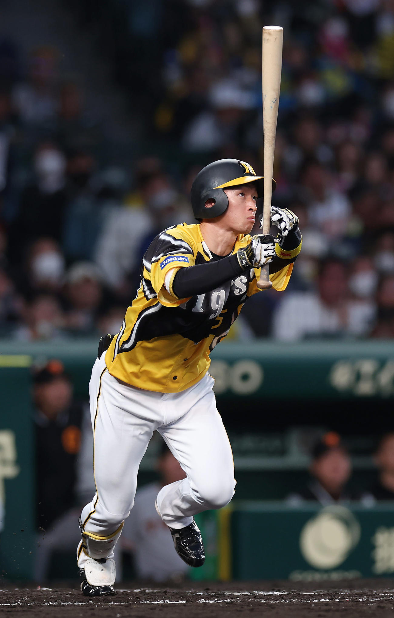 阪神対巨人　3回裏阪神無死、右越えソロ本塁打を放つ近本（撮影・前田充）