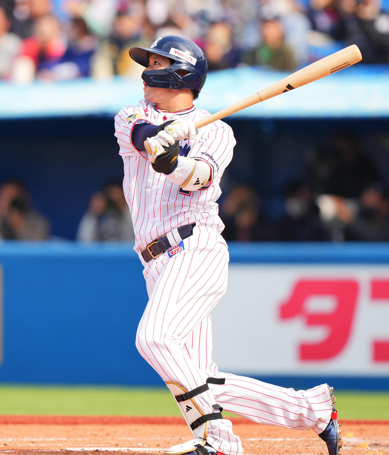 ヤクルト山田哲人（2023年4月2日撮影）