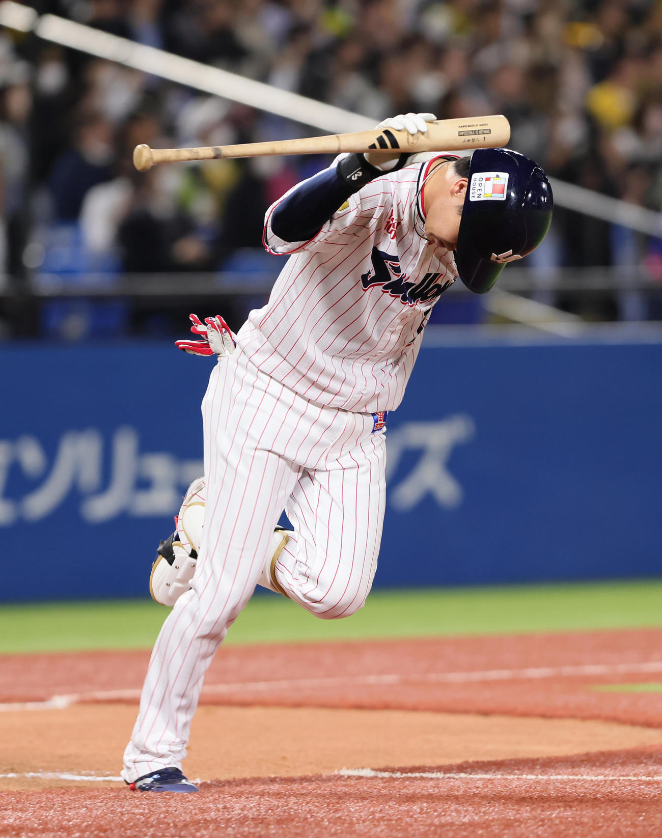 ヤクルト対阪神　9回裏ヤクルト無死、中飛に倒れ悔しそうにバットをたたきつける山田（撮影・足立雅史）