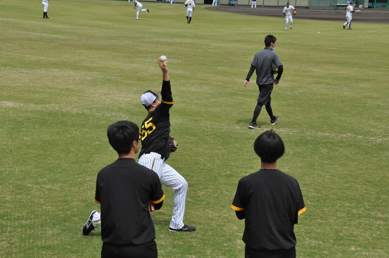阪神湯浅（中央）はトレーナーらに見守られながらキャッチボールを行う