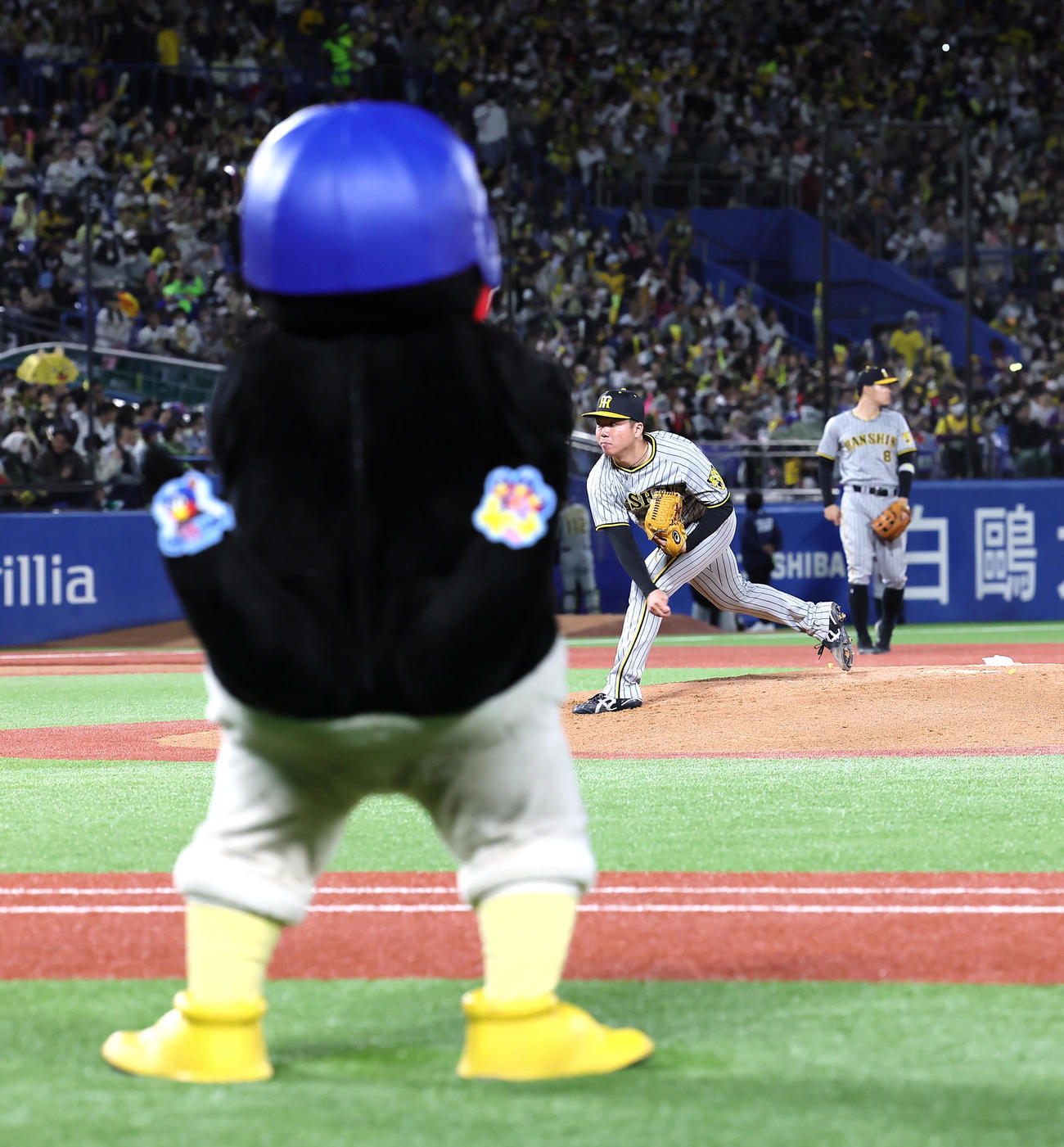 ヤクルト対阪神　つば九郎が見つめる中、投球練習する阪神村上（撮影・足立雅史）