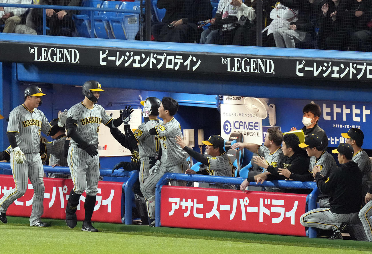 ヤクルト対阪神　8回表阪神無死一塁、2点本塁打を放ち、ベンチに迎えられる佐藤輝（左から2人目）（撮影・狩俣裕三）