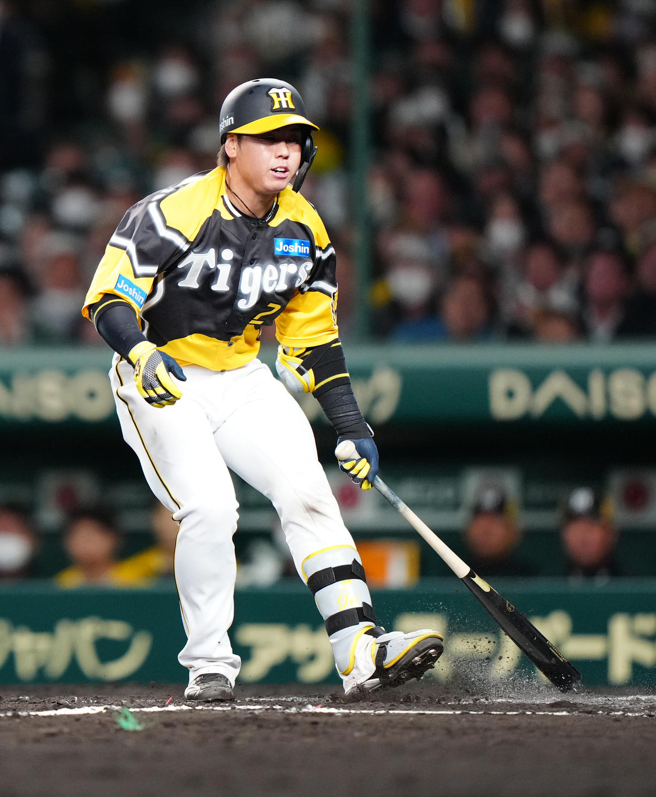 阪神梅野隆太郎