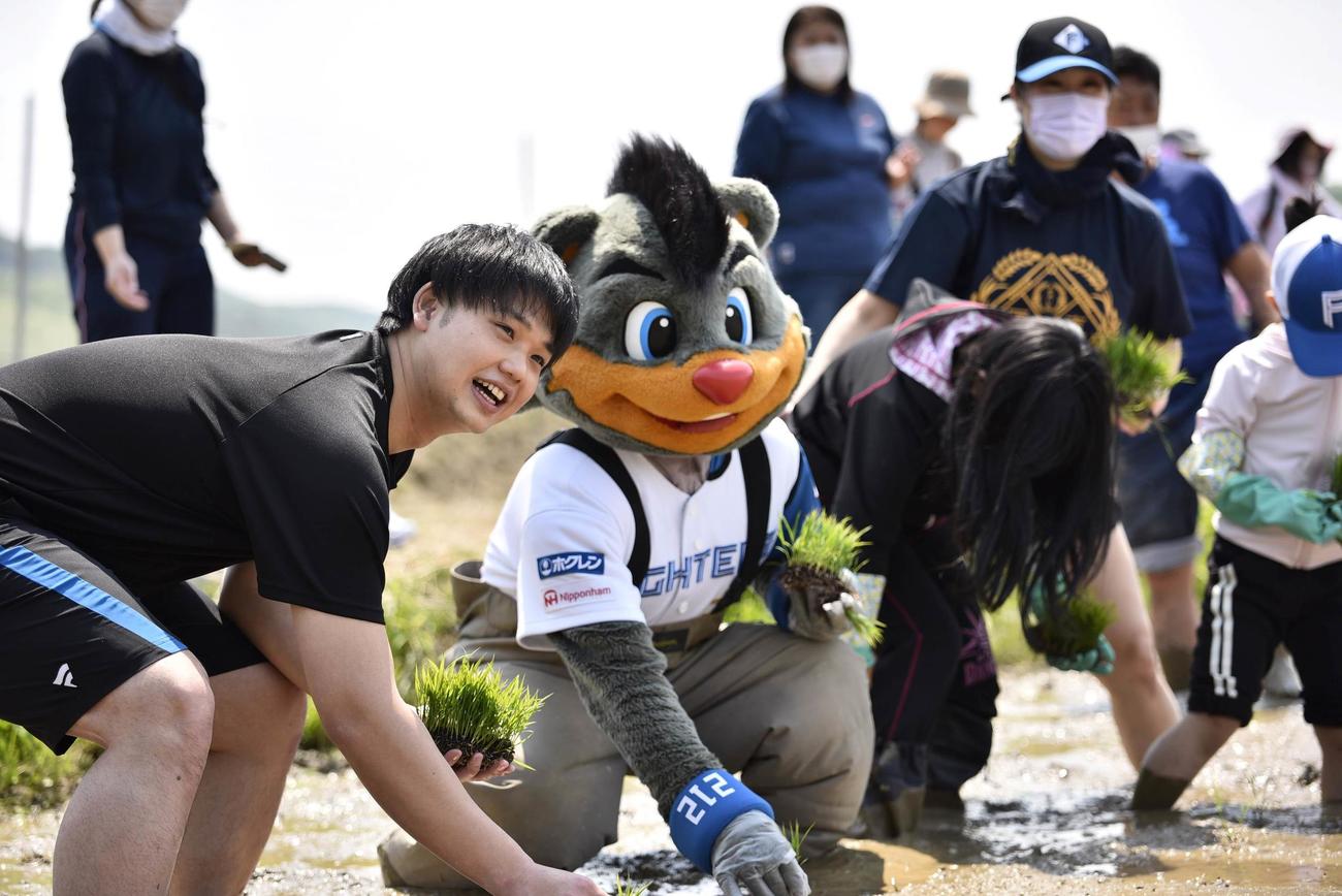 22年に行われた田植えの様子（球団提供）