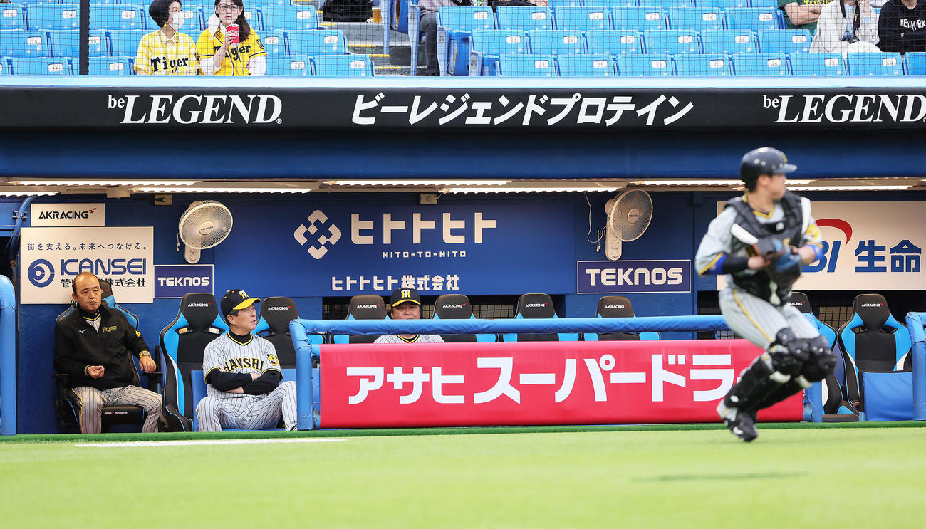 試合前、練習を見つめる阪神岡田監督（左端）。右端は梅野（撮影・足立雅史）