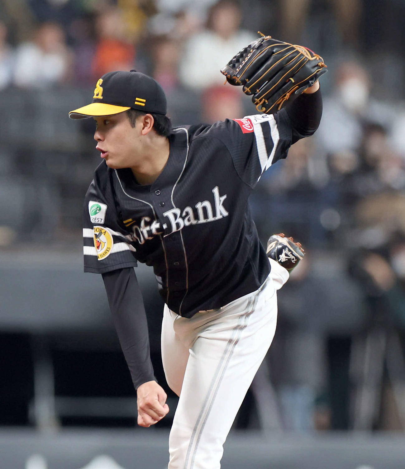 日本ハム対ソフトバンク　ソフトバンク先発の藤井（撮影・佐藤翔太）