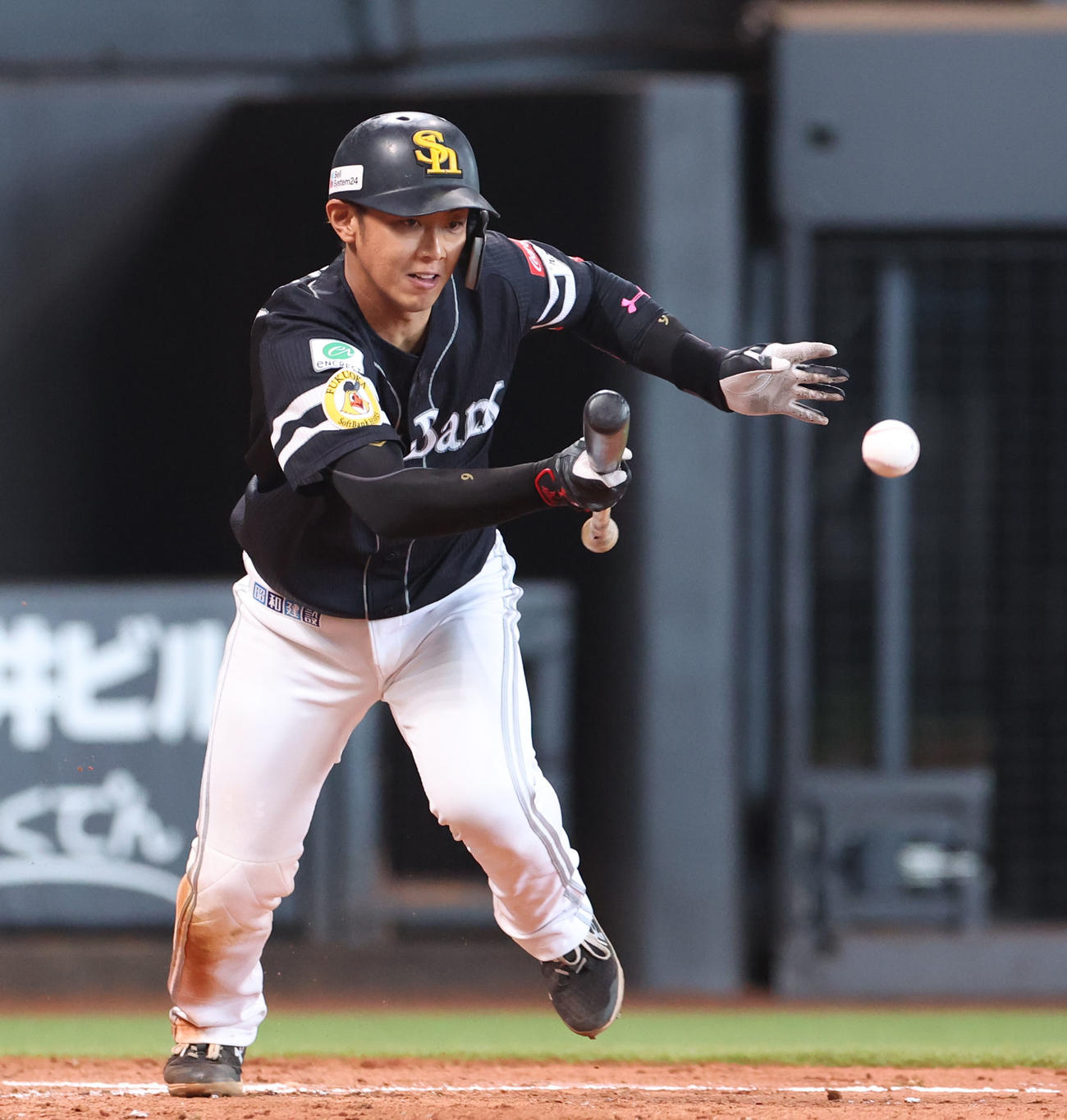 日本ハム対ソフトバンク　5回表ソフトバンク1死一、二塁、今宮はセーフティバントを決める（撮影・佐藤翔太）