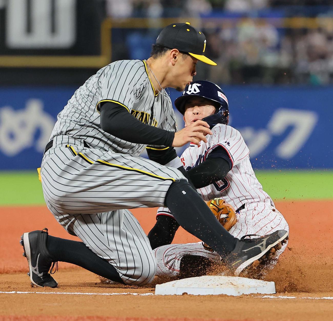 ヤクルト対阪神　6回裏ヤクルト1死一塁、浜田の左前打で三塁を狙うも左翼手ノイジーの送球で憤死する一塁走者並木。三塁手は佐藤輝（撮影・上田博志）