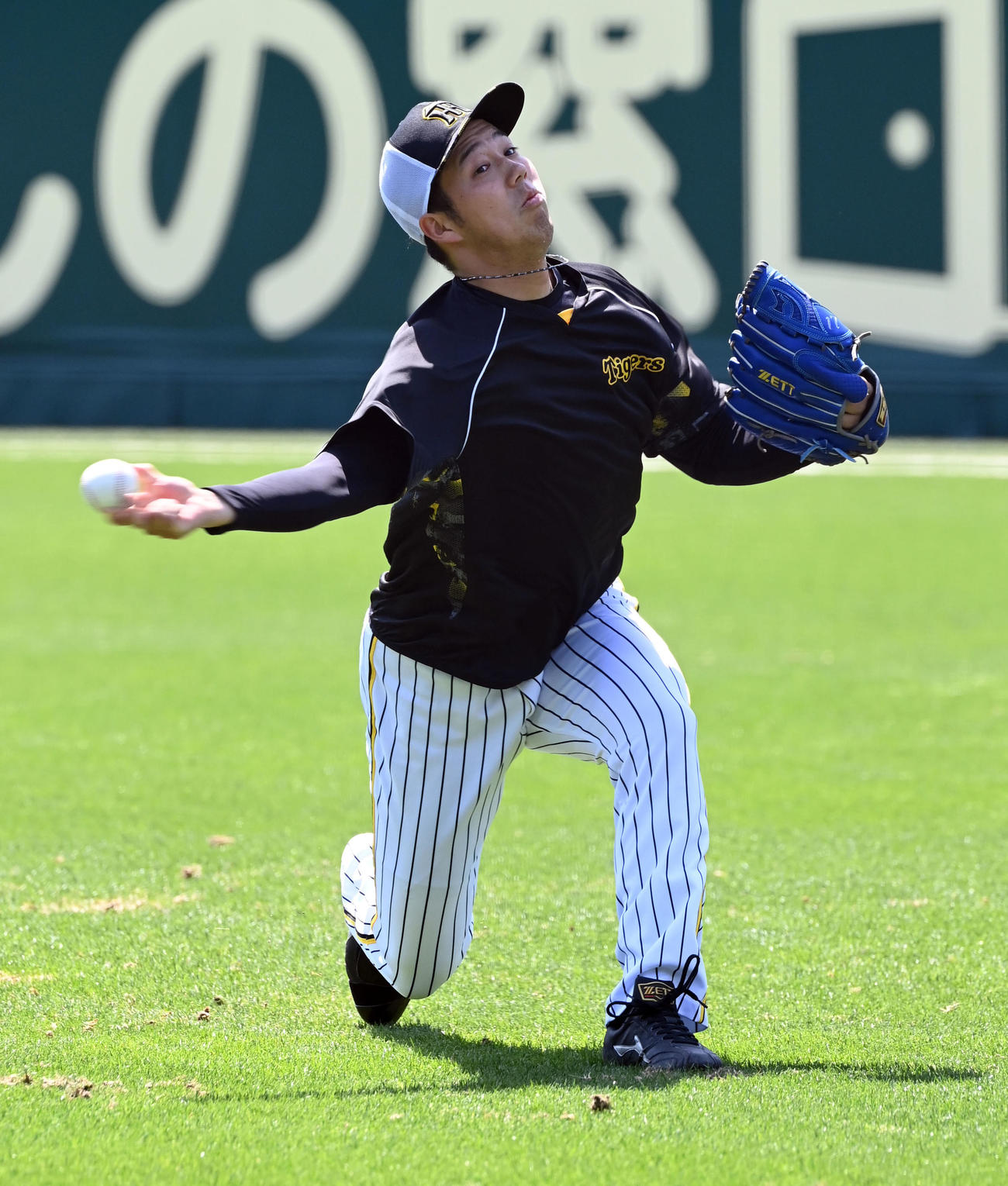 外野でキャッチボールする阪神青柳（撮影・和賀正仁）