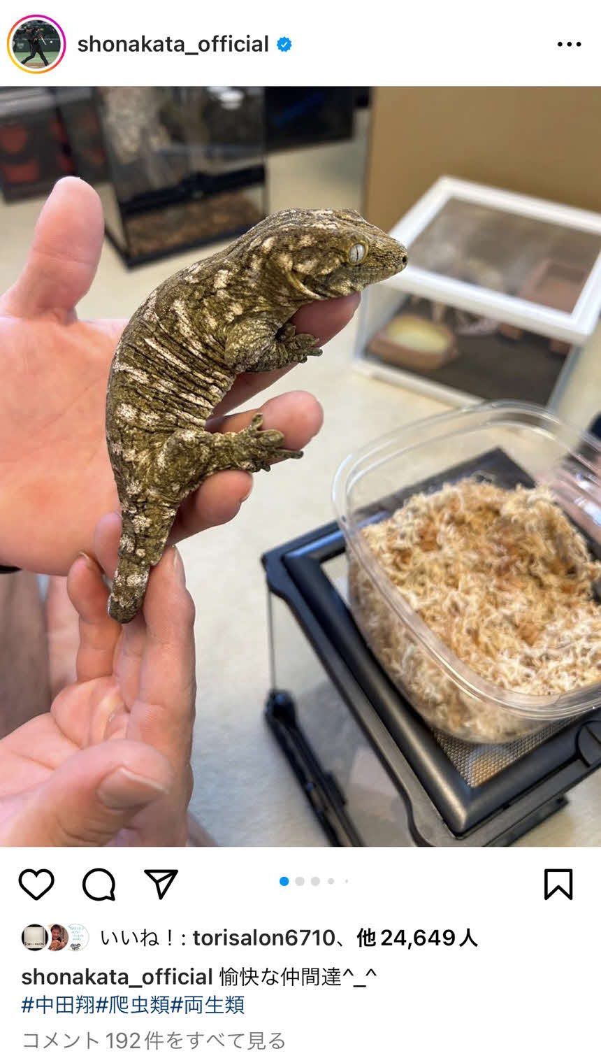 中田翔のインスタグラムから