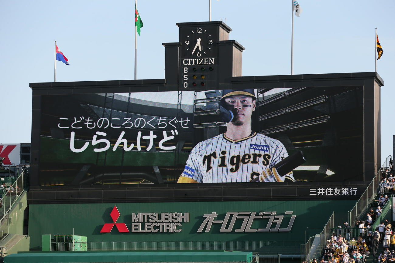 阪神対中日　大型ビジョンで披露された阪神佐藤輝のこどものころのくちぐせ（撮影・上山淳一）