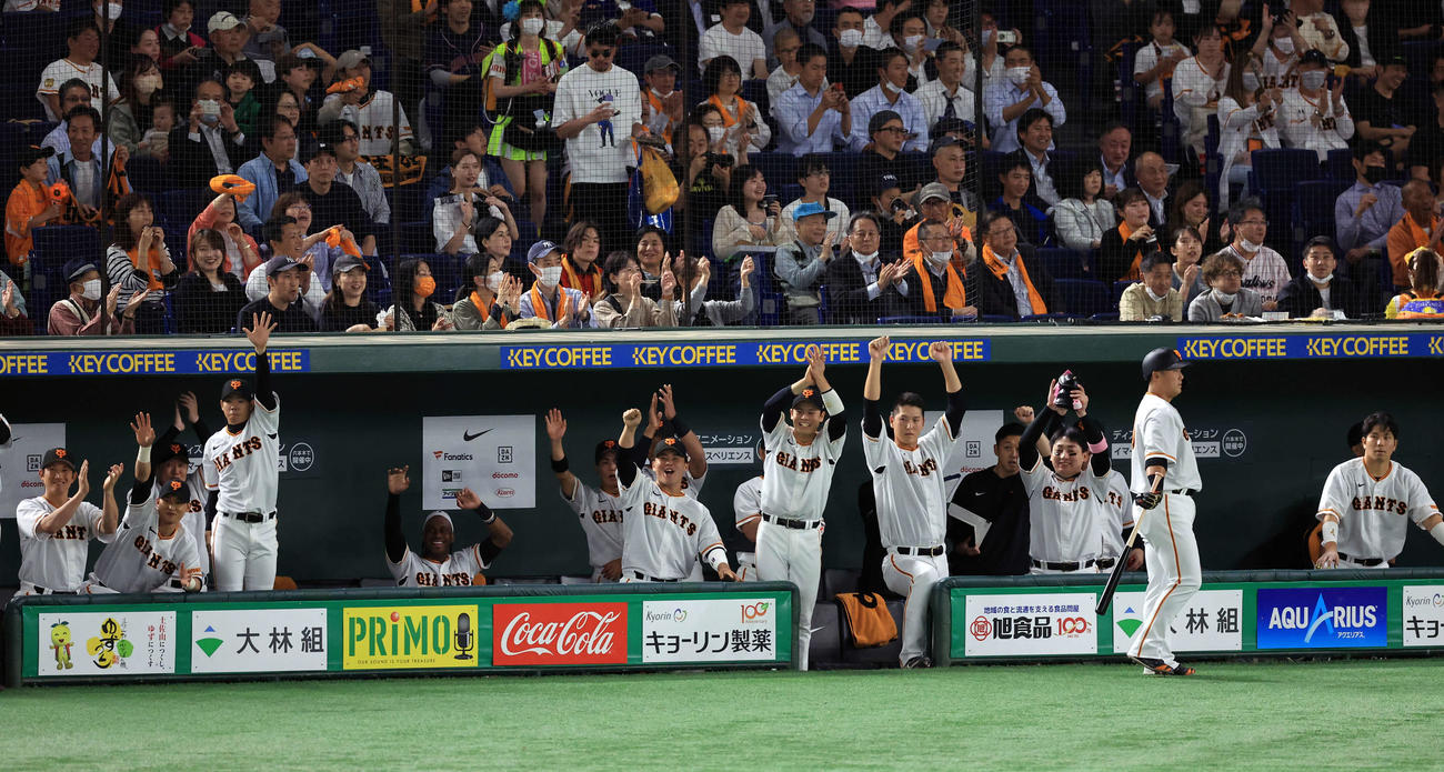 巨人対ヤクルト　1回裏巨人1死三塁、坂本が先制三塁適時内野安打を放ち喜ぶ巨人ベンチ（撮影・浅見桂子）