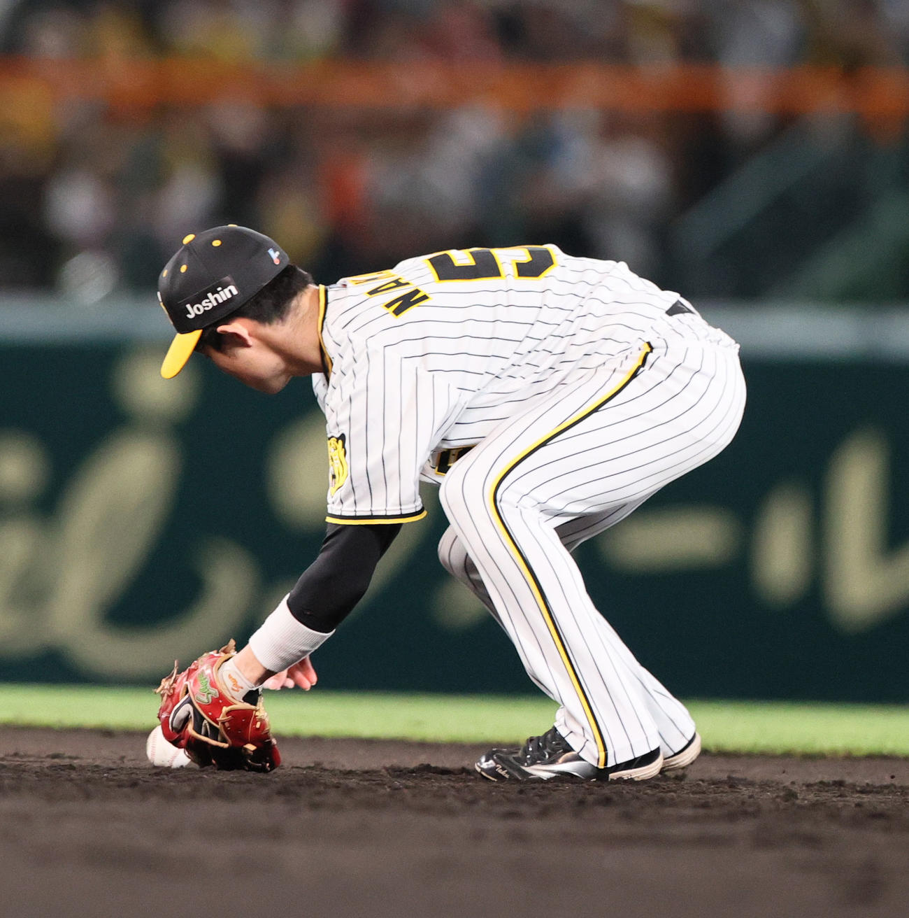 阪神対中日　4回表中日無死、村松の打球をファンブルする中野（撮影・上山淳一）