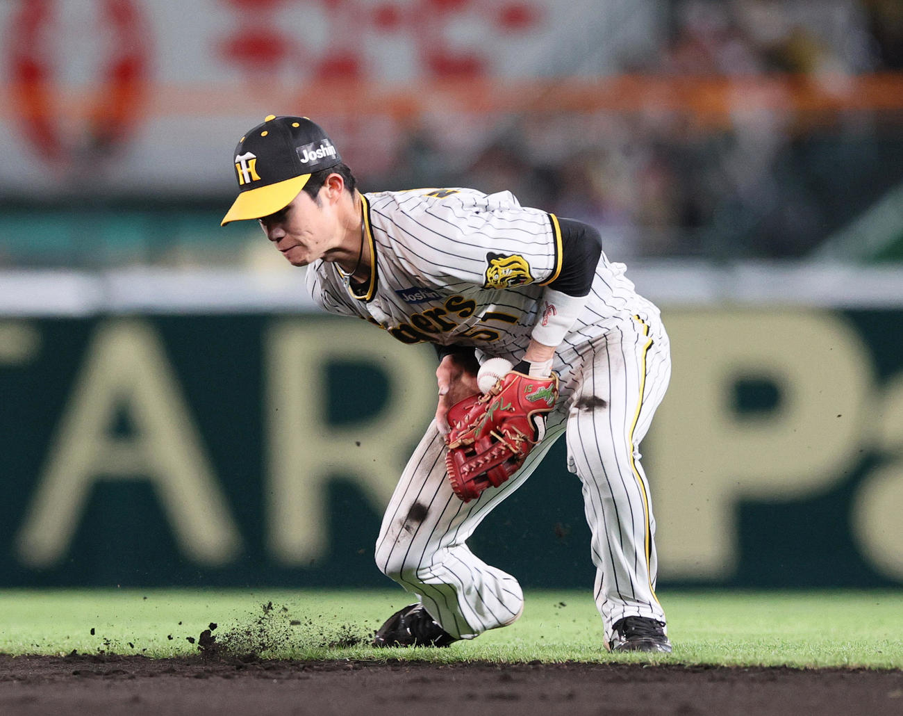 阪神対中日　5回表中日無死、中野は石川昂を二ゴロに仕留める（撮影・上山淳一）