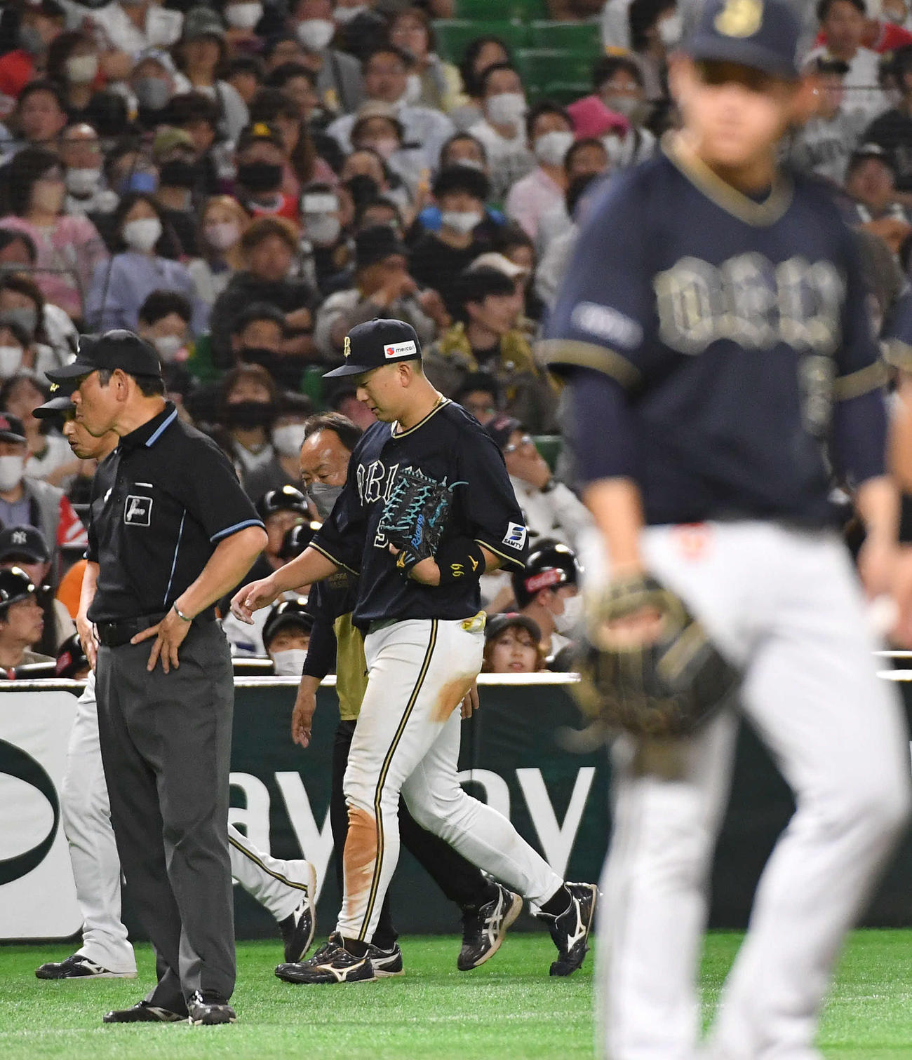ソフトバンク対オリックス　6回裏ソフトバンク2死、柳田の左二塁打の処理後、違和感を訴えてベンチへ戻る杉本（撮影・岩下翔太）
