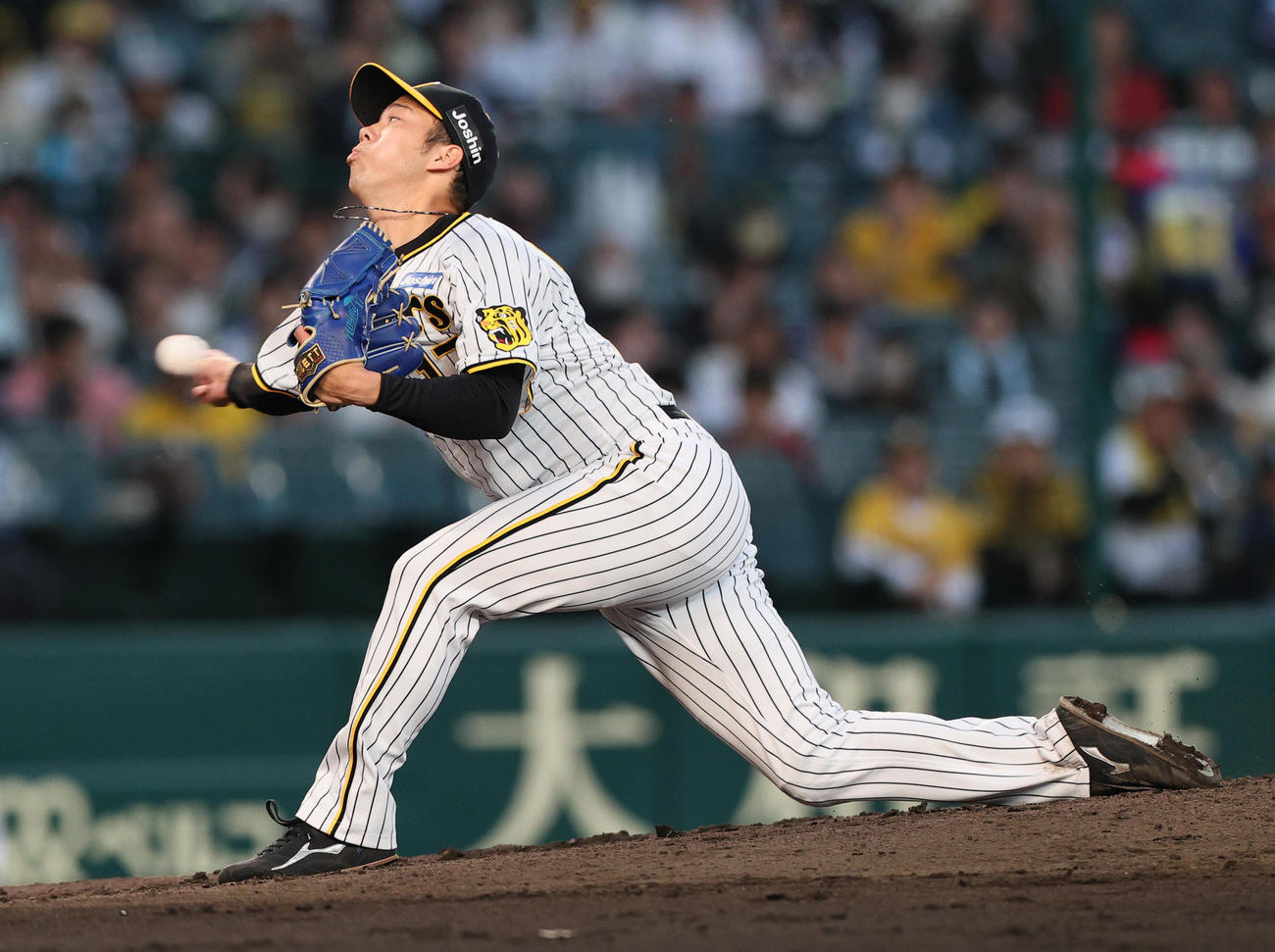 阪神対中日　阪神先発の青柳（撮影・上山淳一）