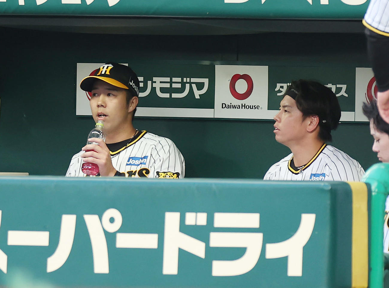 阪神対中日　1回表を投げ終え、ベンチで話し合う阪神青柳（左）と梅野（撮影・前田充）