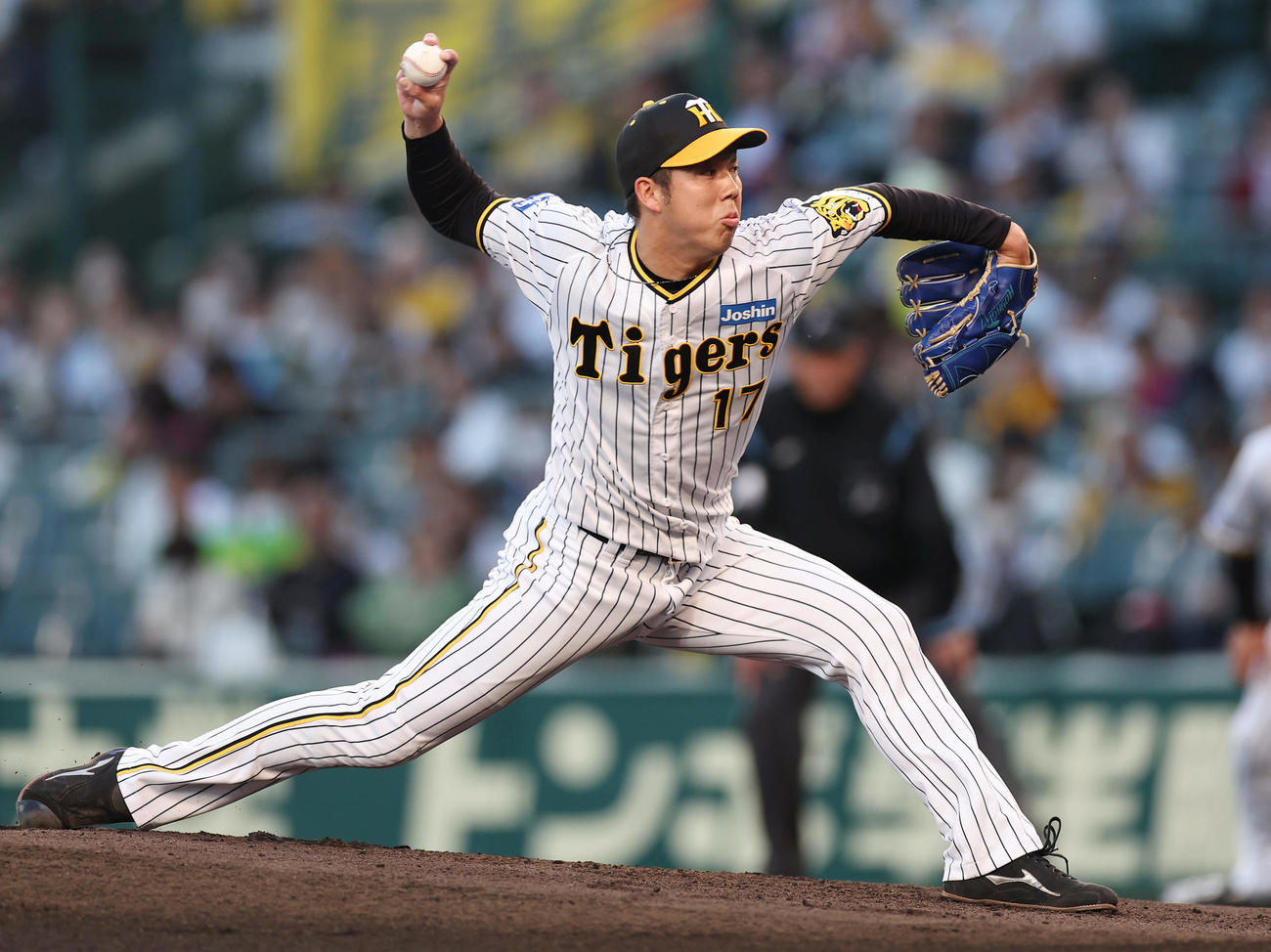 阪神対中日　力投する阪神先発の青柳（撮影・前田充）