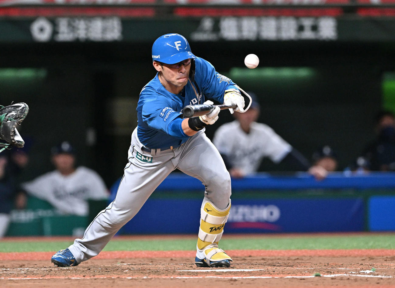西武対日本ハム　3回表日本ハム無死三塁、江越はスクイズを決める（撮影・滝沢徹郎）