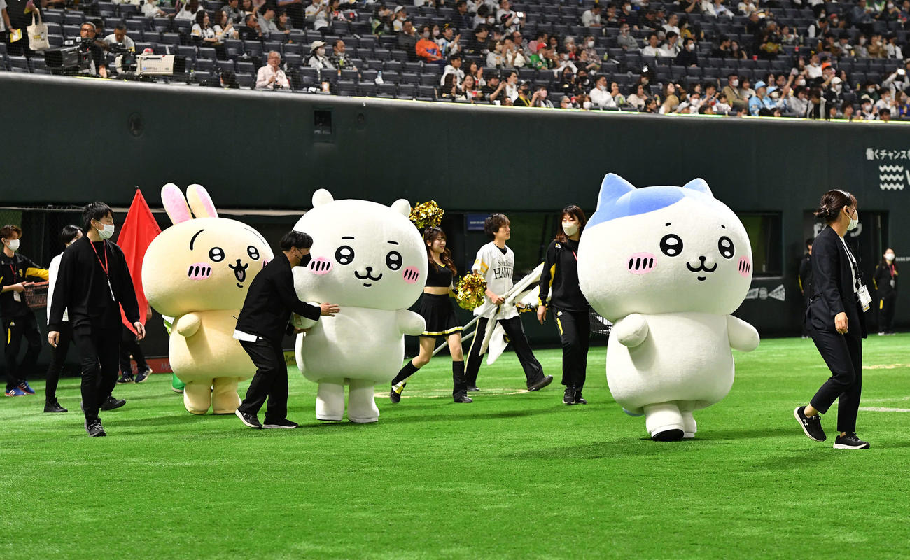 ソフトバンク対オリックス　ちいかわコラボでグラウンドに登場した、左からうさぎ、ちいかわ、ハチワレ（撮影・岩下翔太）