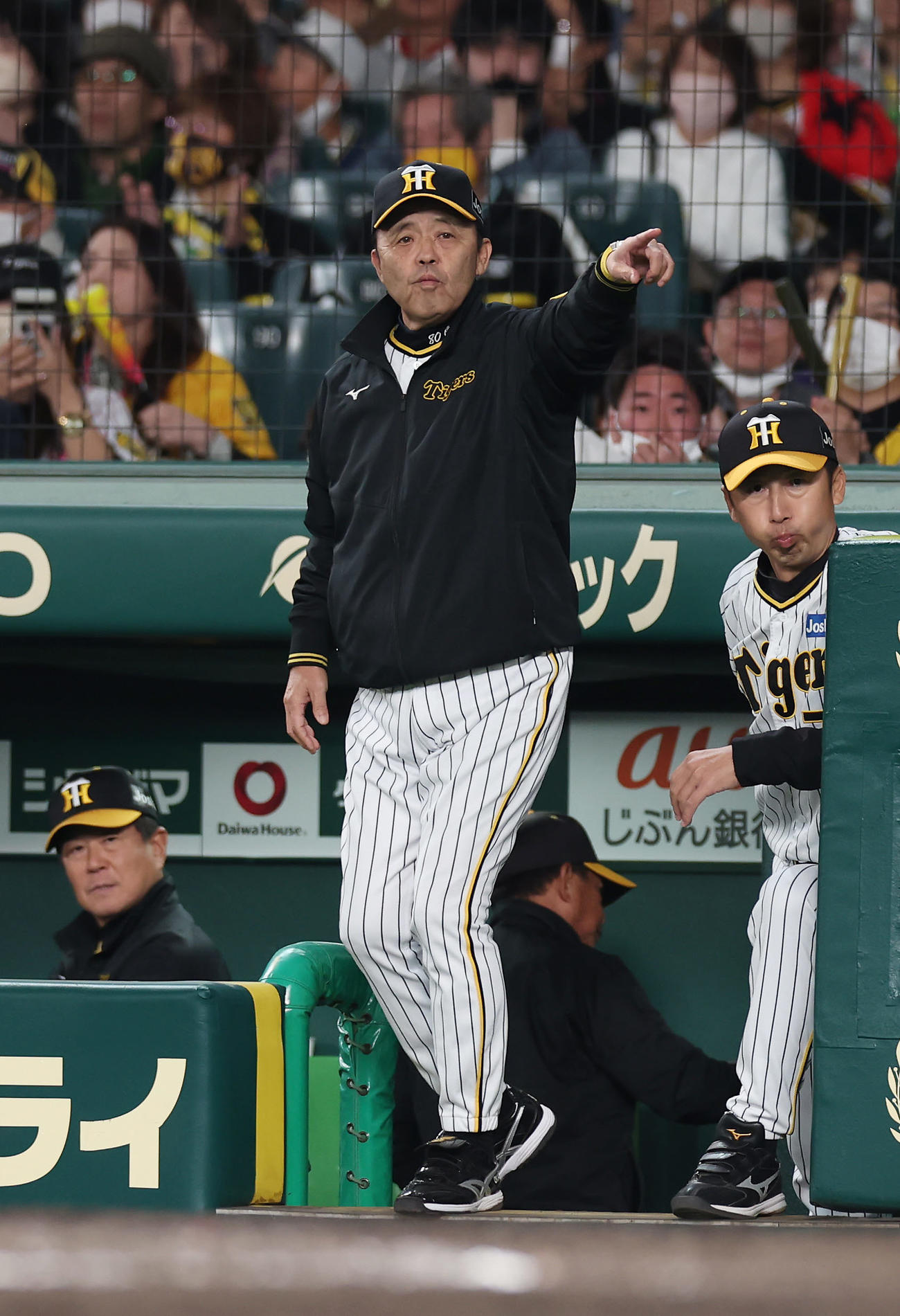 阪神対中日　7回裏阪神2死一、二塁、岩貞に代打原口を送る岡田監督（撮影・前田充）