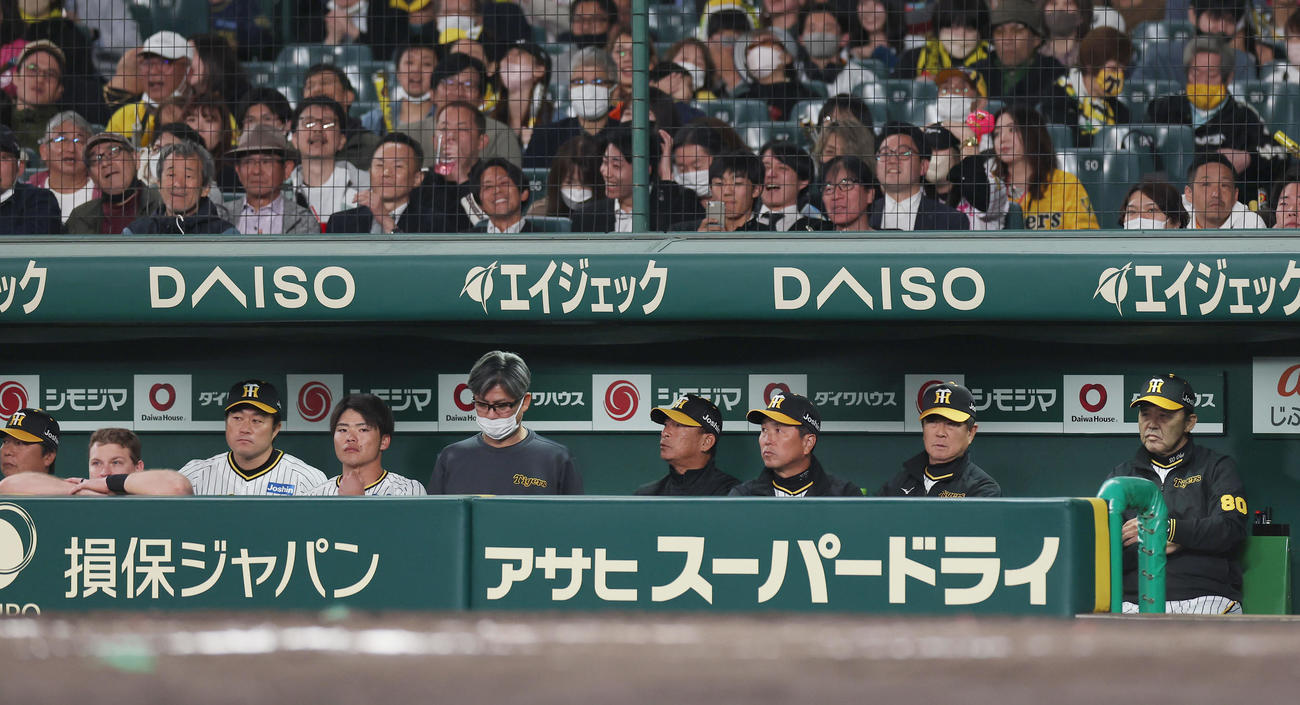 阪神対中日　9回裏阪神2死二塁、糸原が空振り三振に倒れ試合終了となり、ベンチで厳しい表情を見せる岡田監督（右端）ら（撮影・前田充）