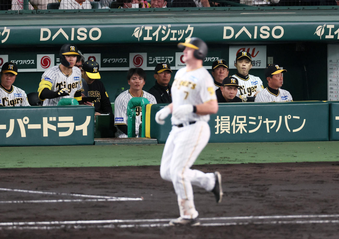 阪神対中日　4回裏阪神無死、ノイジーの遊ゴロをベンチから見つめる岡田監督。左は佐藤輝（撮影・加藤哉）
