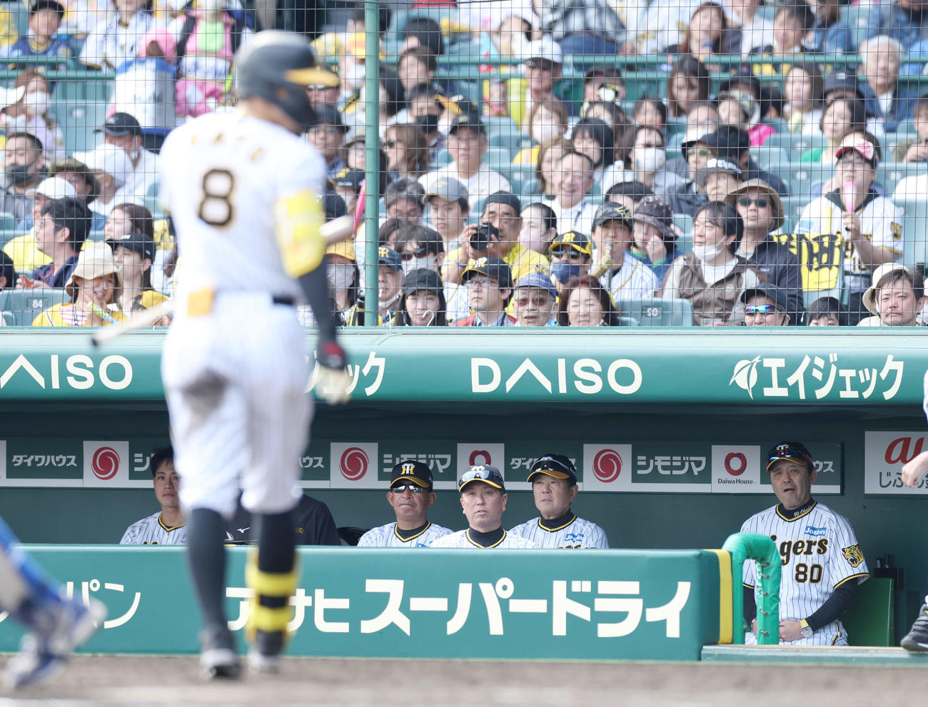 阪神対中日　4回裏阪神1死一塁、佐藤輝（手前）が空振り三振に倒れ、ベンチで厳しい表情を見せる岡田監督（右端）ら（撮影・前田充）