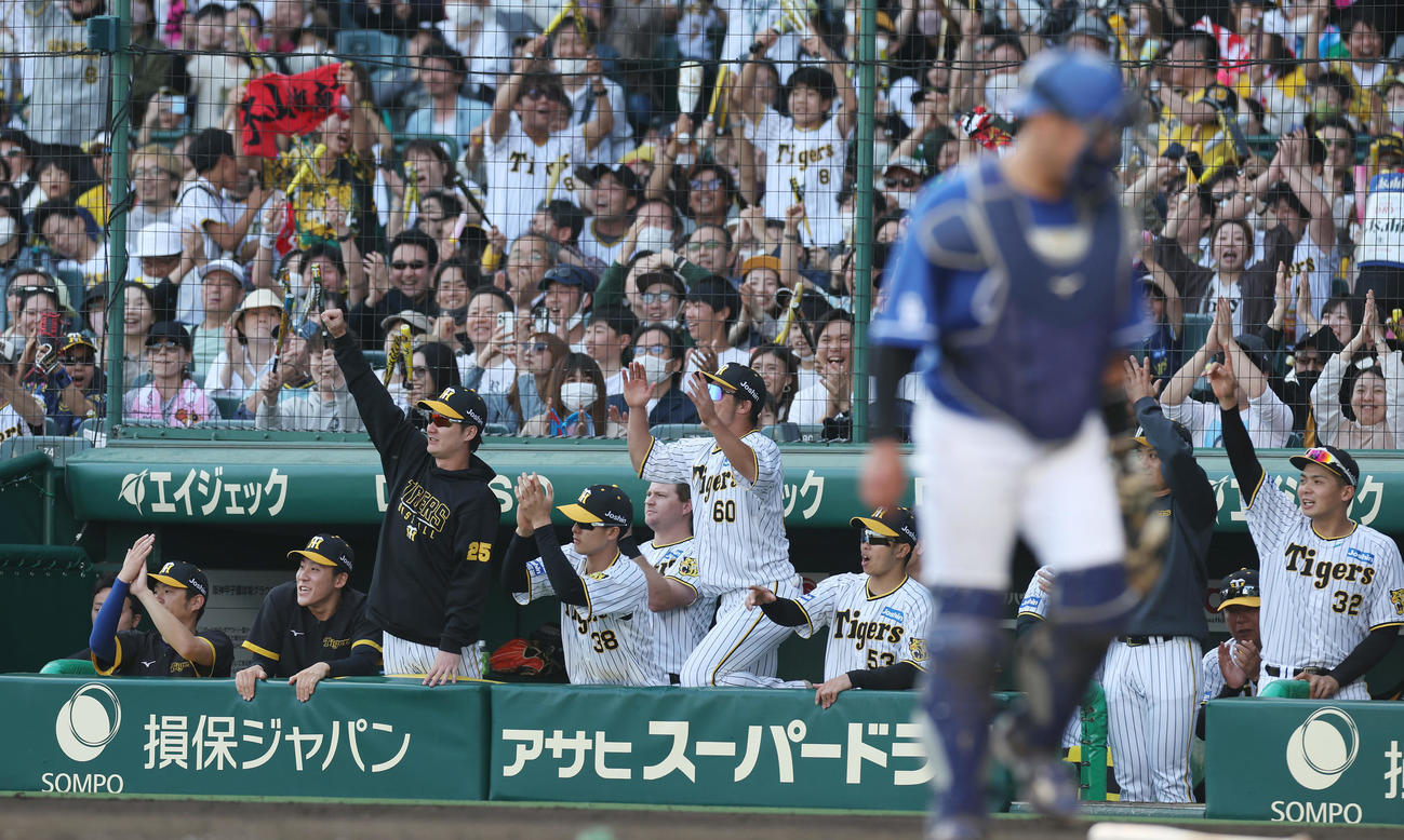 阪神対中日　6回裏阪神2死満塁、大山の同点2適時打にベンチで盛り上がるナイン（撮影・前田充）