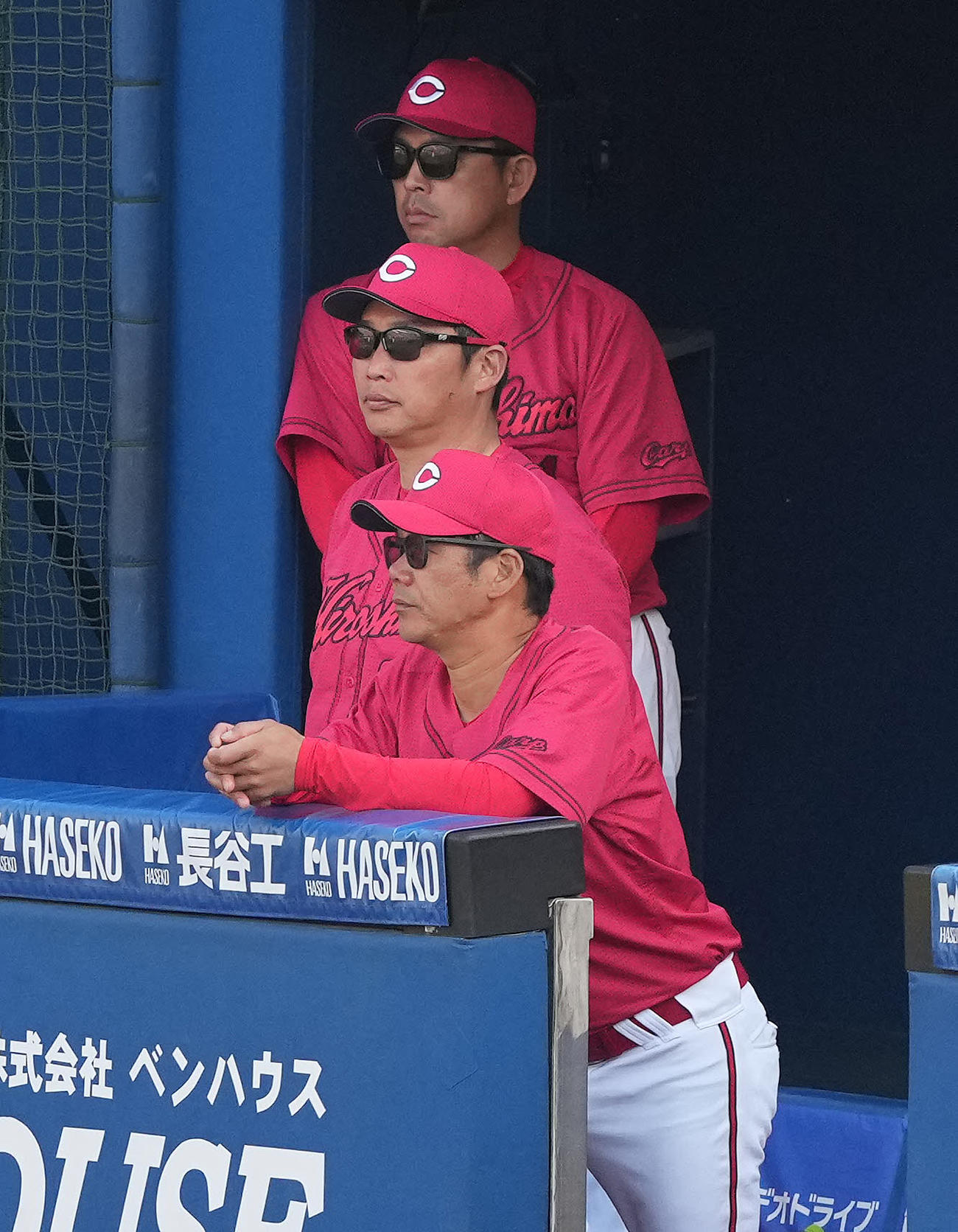 DeNA対広島　ベンチから試合を見守る広島新井監督（中央）（撮影・鈴木みどり）