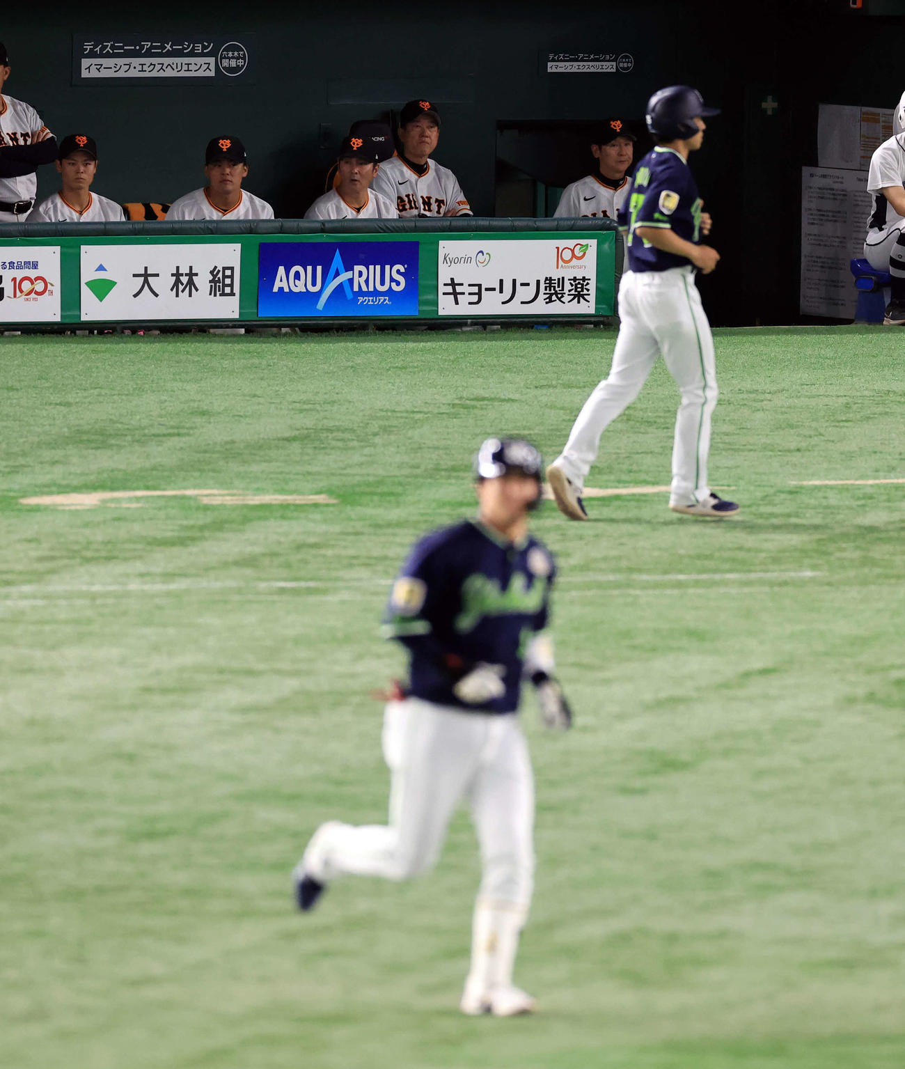 巨人対ヤクルト　4回表ヤクルト無死、山田（手前）に右越えソロ本塁打を許し、ぼう然と見つめる原監督（中央）ら巨人ベンチ（撮影・浅見桂子）
