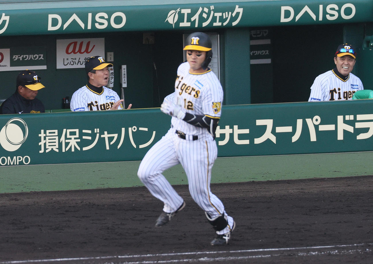 阪神対中日　7回裏阪神2死三塁、坂本（手前）の中前適時打で喜ぶ岡田監督（右）ら（撮影・上山淳一）