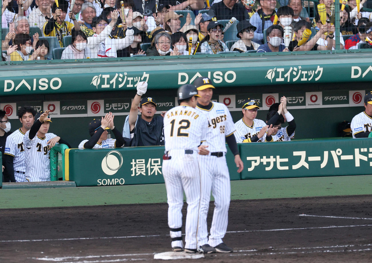 阪神対中日　7回裏阪神2死三塁、坂本（手前）の中前適時打で喜ぶ伊藤将（左から5人目）ら（撮影・上山淳一）