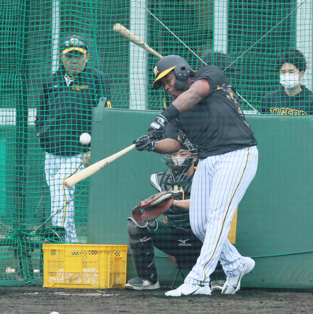 打撃練習するミエセス。左は岡田監督（2023年2月4日撮影）