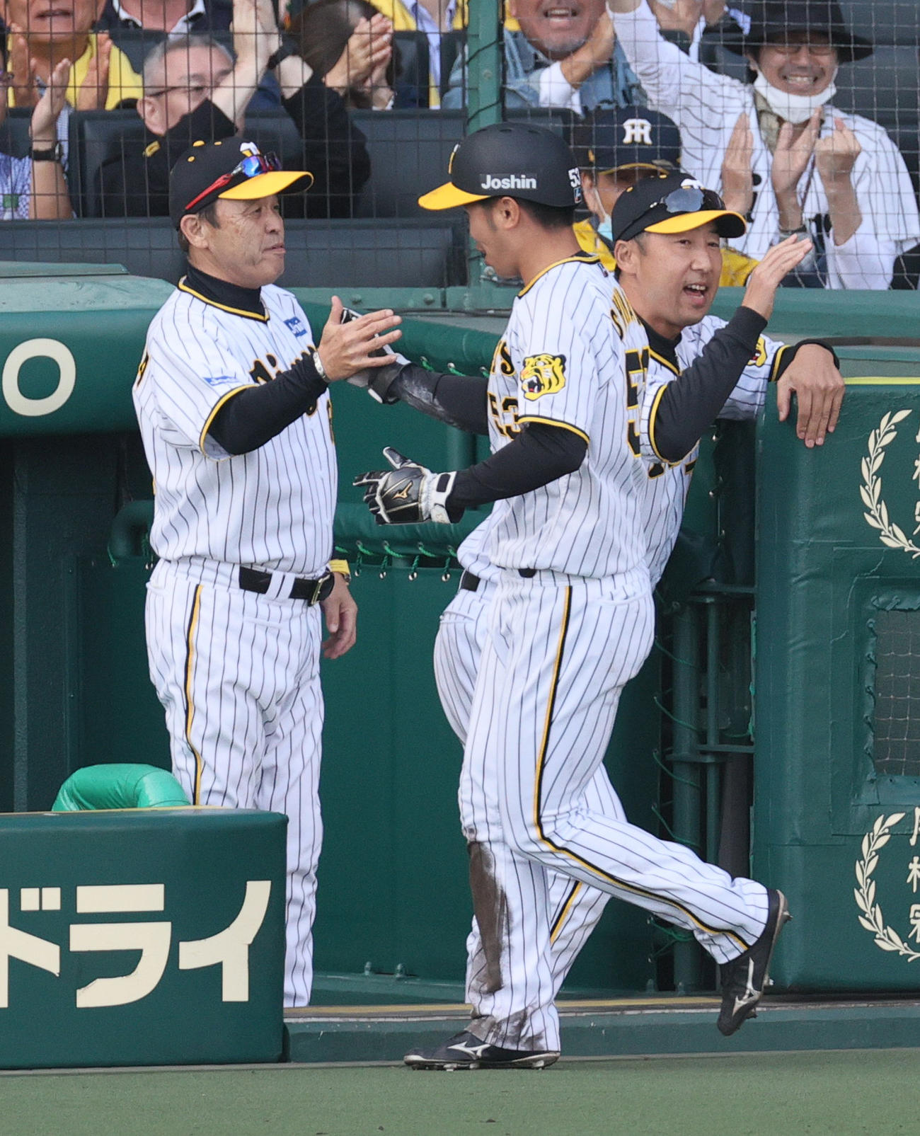 阪神対中日　8回裏阪神2死一、二塁、佐藤輝の右前適時打で生還した島田（手前）を迎える岡田彰布監督（左）（撮影・上山淳一）