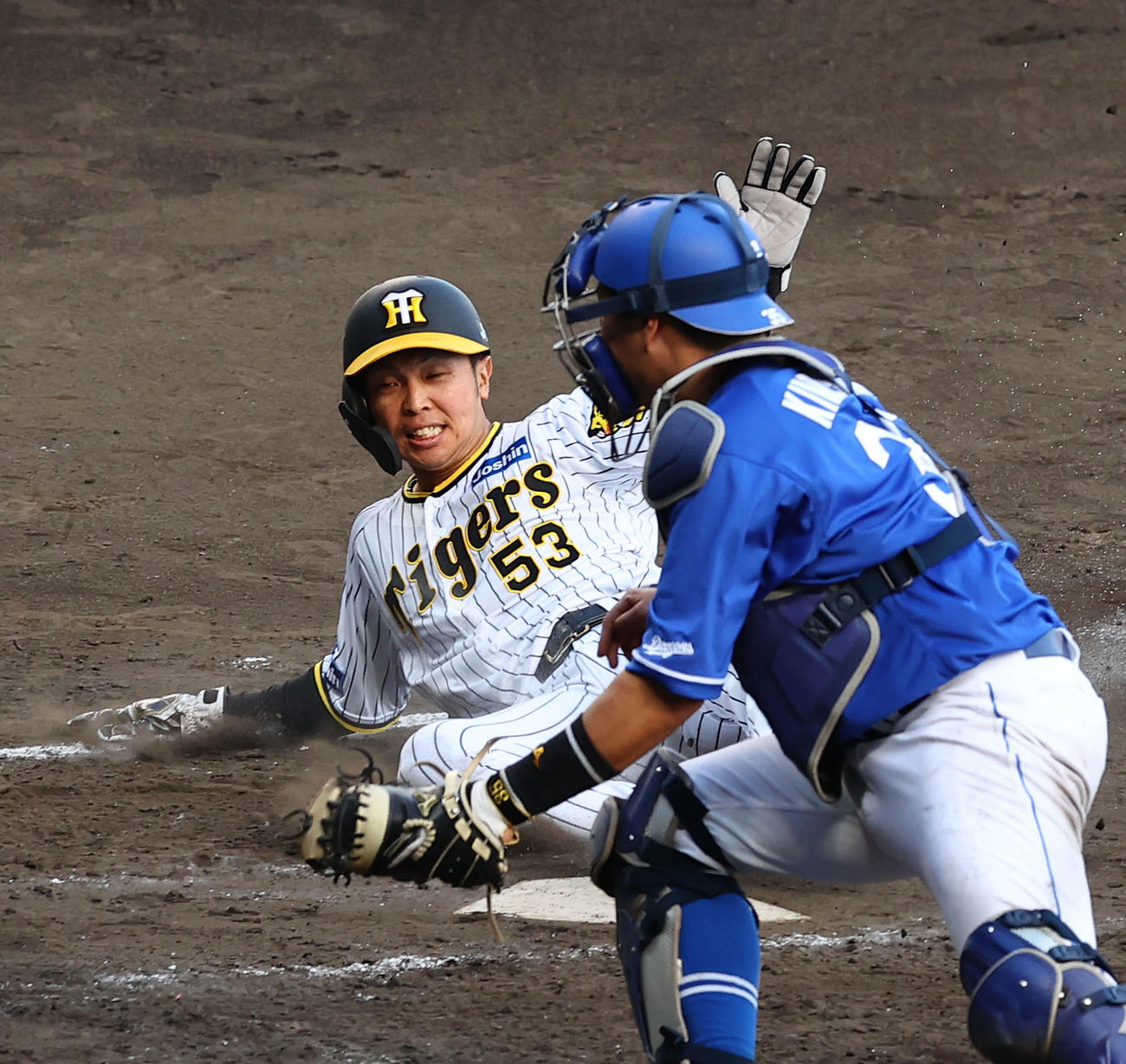 阪神対中日　8回裏阪神2死一、二塁、佐藤輝の右前適時打でホームに滑り込む代走島田（上）。捕手木下（撮影・藤尾明華）