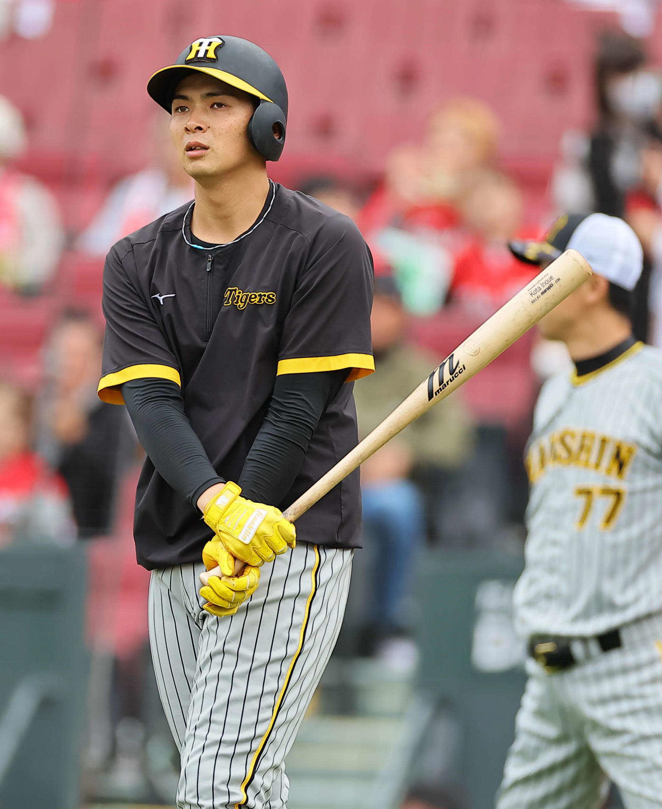 広島対阪神　広島6回戦はベンチ外となった井上（撮影・上田博志）
