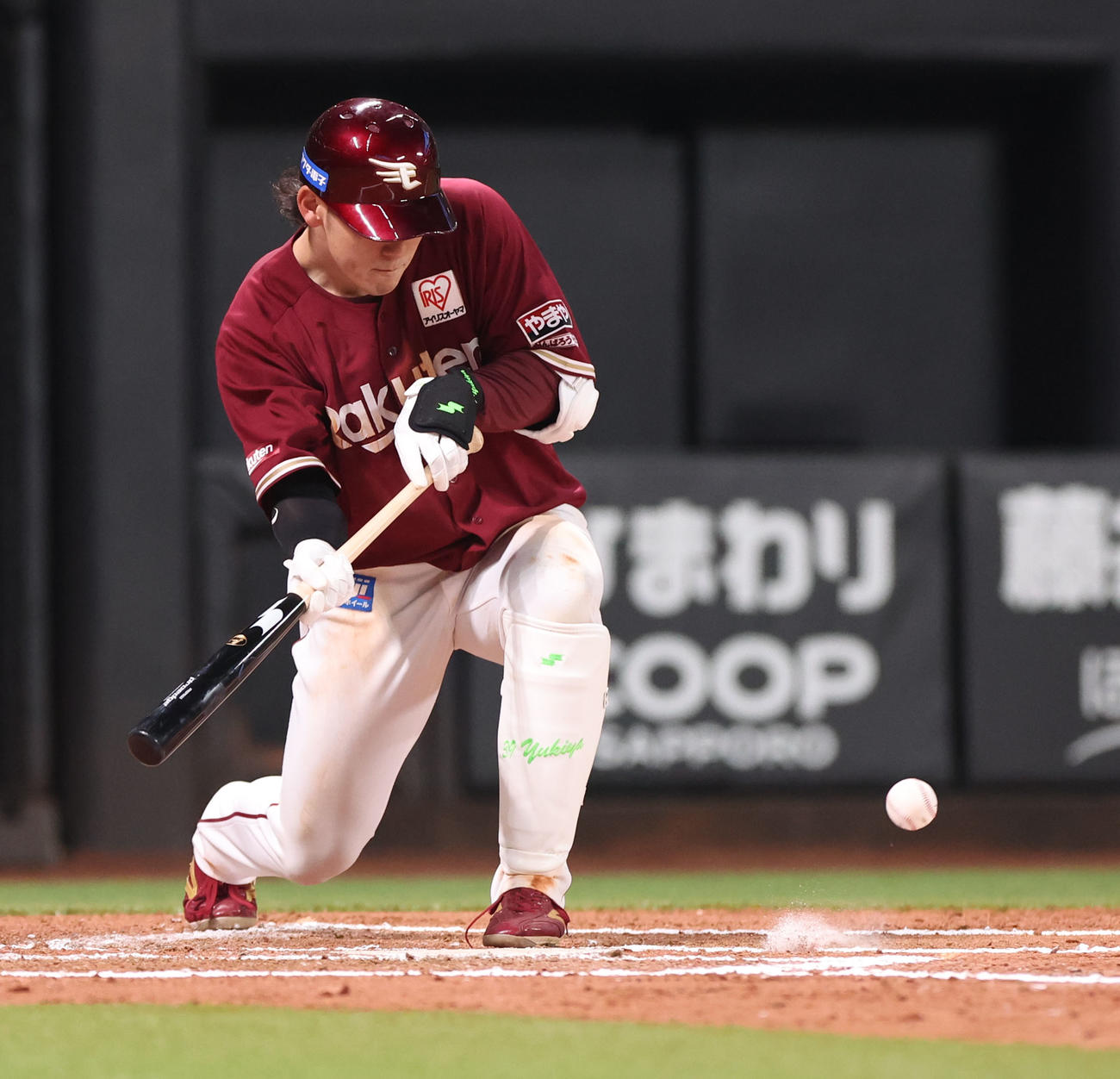 日本ハム対楽天　6回表楽天無死一、二塁、伊藤裕季は犠打を決める（撮影・佐藤翔太）