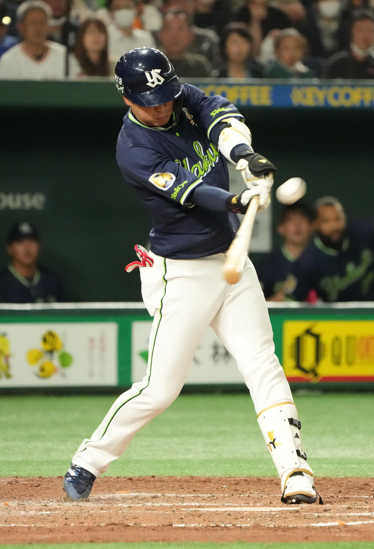 5月3日、巨人戦で本塁打を放つヤクルト・山田